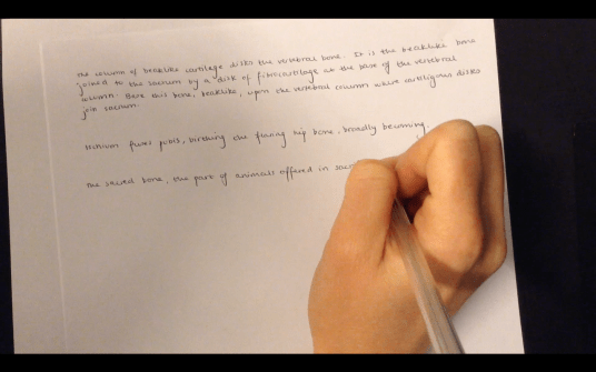 Screen Shot 2019-07-10 at 22.47.15